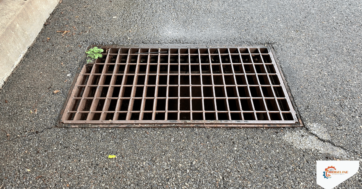 Drains vs Sewer